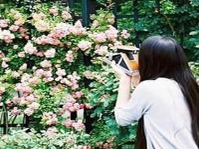 菠萝导航,游戏新体验，菠萝导航来袭